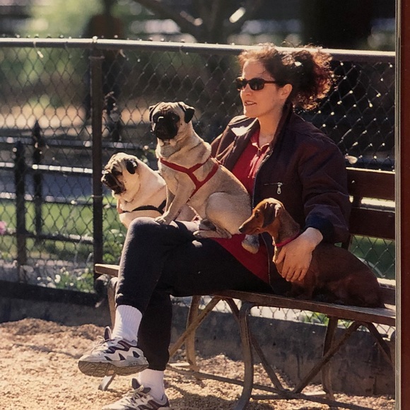 🐶 HOST PICK🐶 9 1/2 x 12 in LIVING WITH DOGS Coffee Table Book - Picture 4 of 12